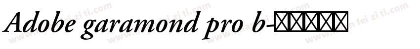 Adobe garamond pro b字体转换